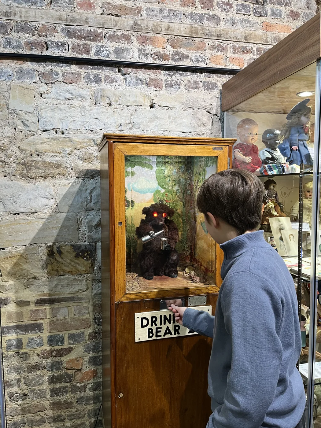 A boy looks into a wooden display case with a sign reading Drinking Bear, against a brick wall.